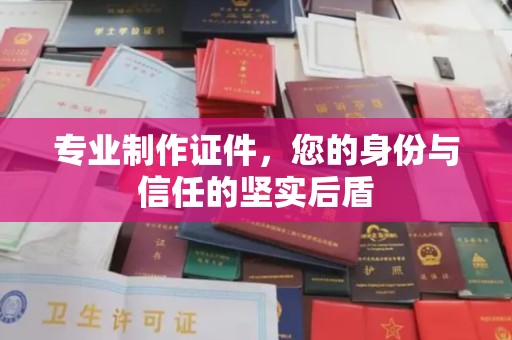 额敏专业制作证件，您的身份与信任的坚实后盾