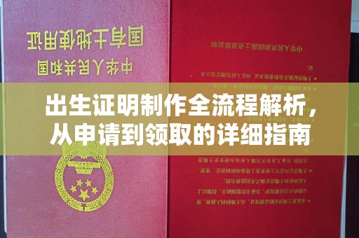 额敏出生证明制作全流程解析，从申请到领取的详细指南